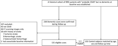 Anti-platelet Therapy Is Associated With Lower Risk of Dementia in Patients With Cerebral Small Vessel Disease